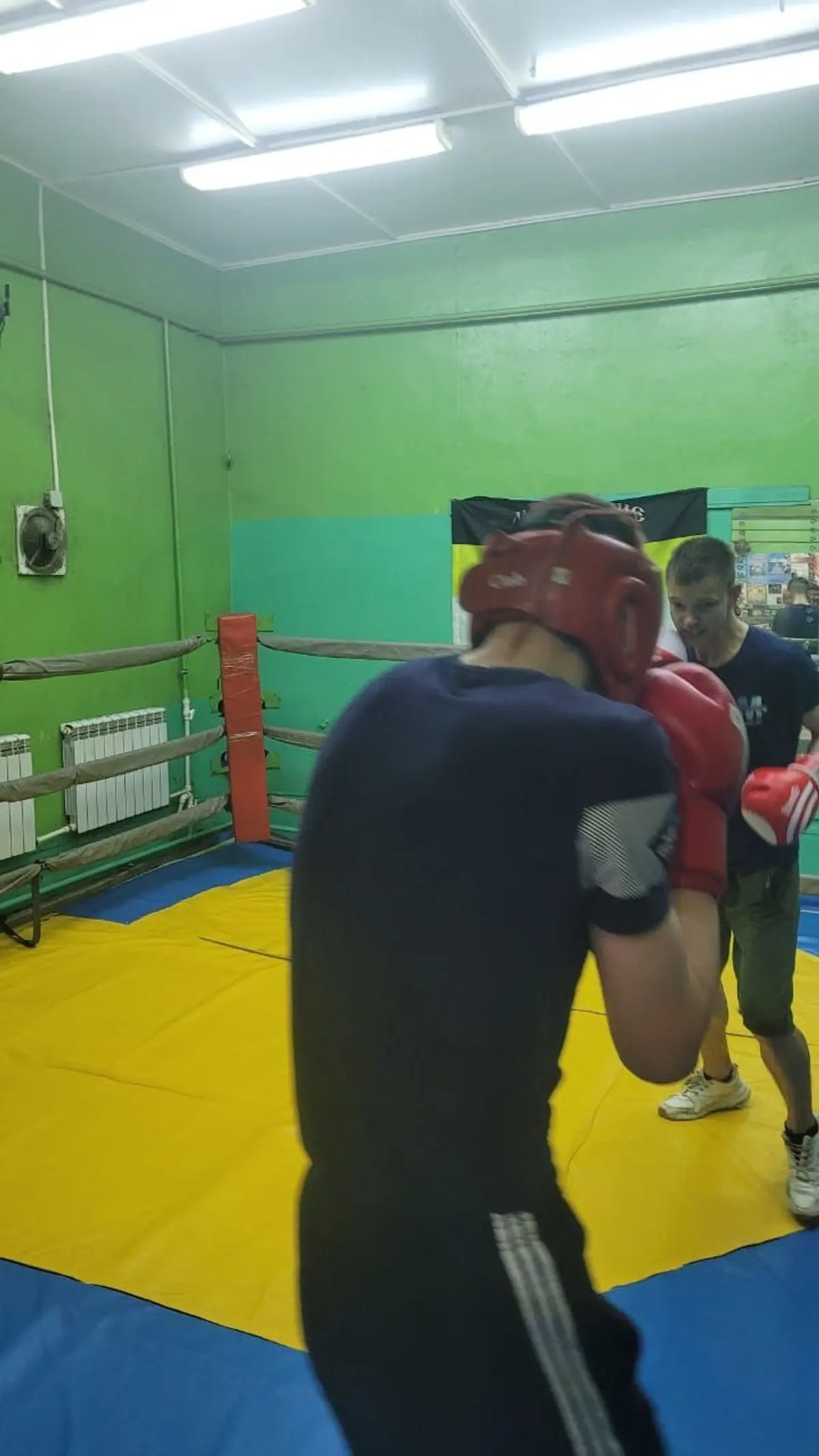 БК «Барсук»: за спорт, за бокс